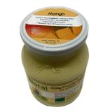 Mango Joghurt